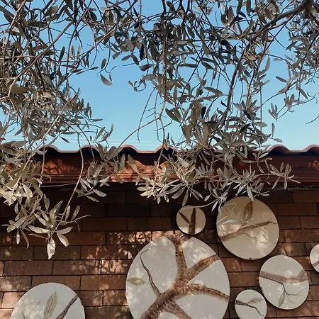 Belizi Bed & Breakfast 4*