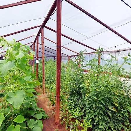 Bed & Breakfast Belizi Urla