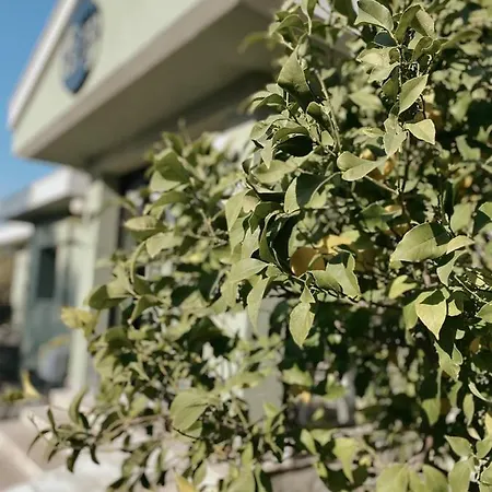 Bed & Breakfast Belizi